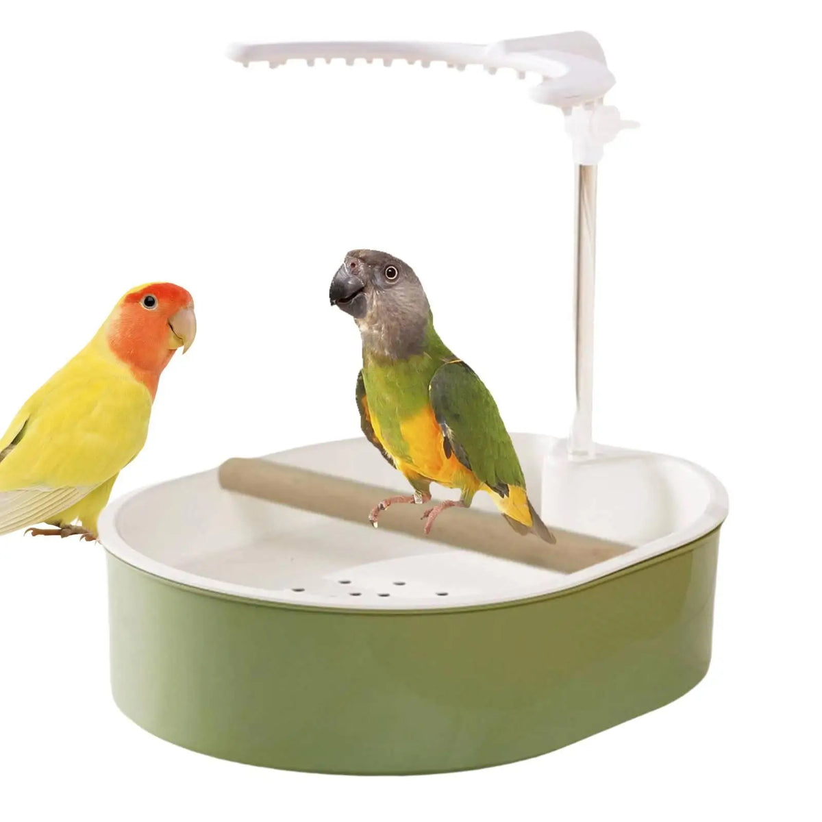 Automatic Bird Bath Shower for Parakeet Cockatiel Lovebird