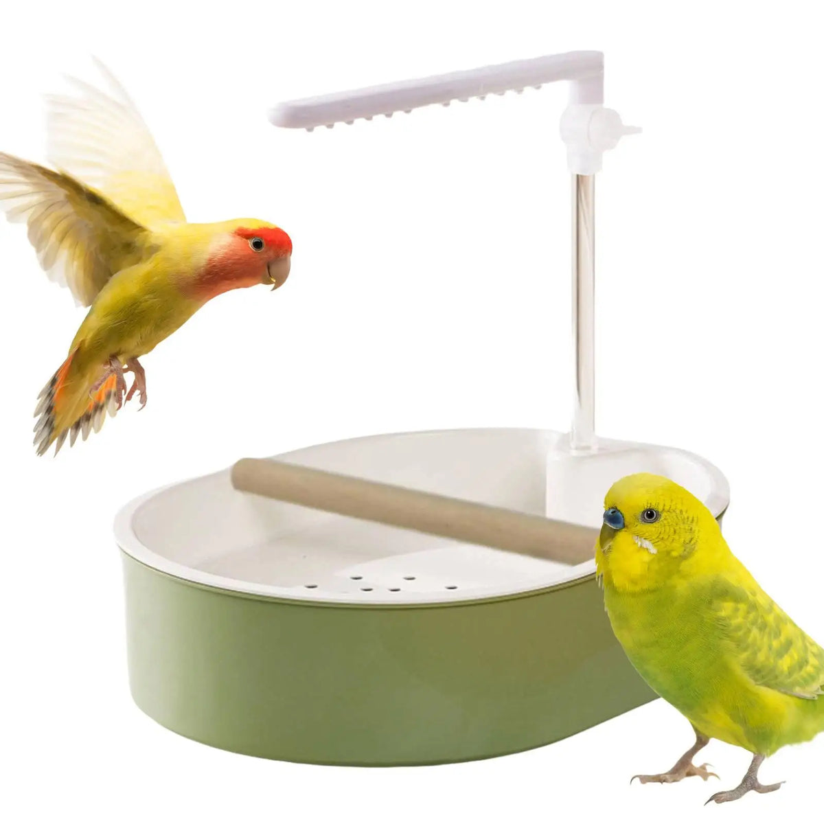 Automatic Bird Bath Shower for Parakeet Cockatiel Lovebird