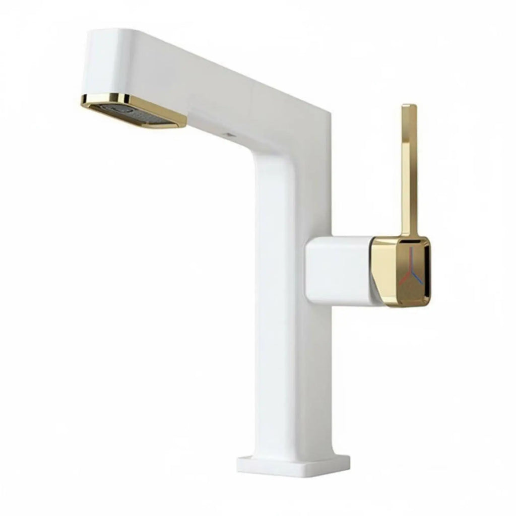Pull-Out Bathroom Basin Faucet | Single Handle Hot & Cold