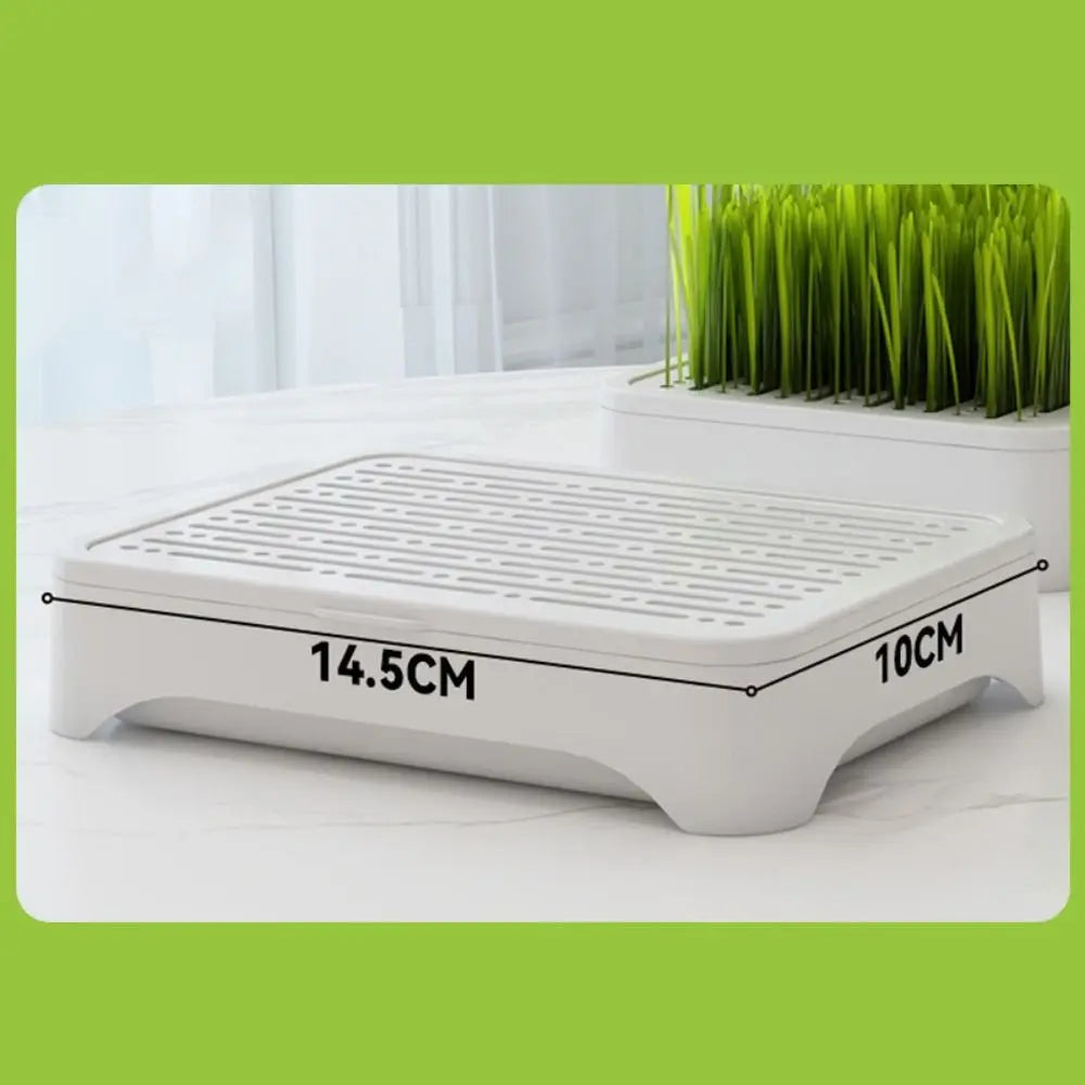 Hydroponic Cat Grass Seeding Tray – Reusable 3-Layer Planter