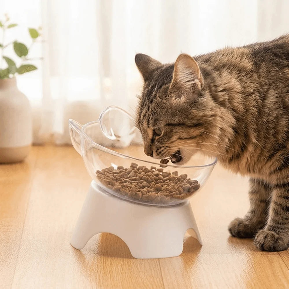 Tilted Raised Cat Bowl | Transparent Polymer Pet Food Bowl