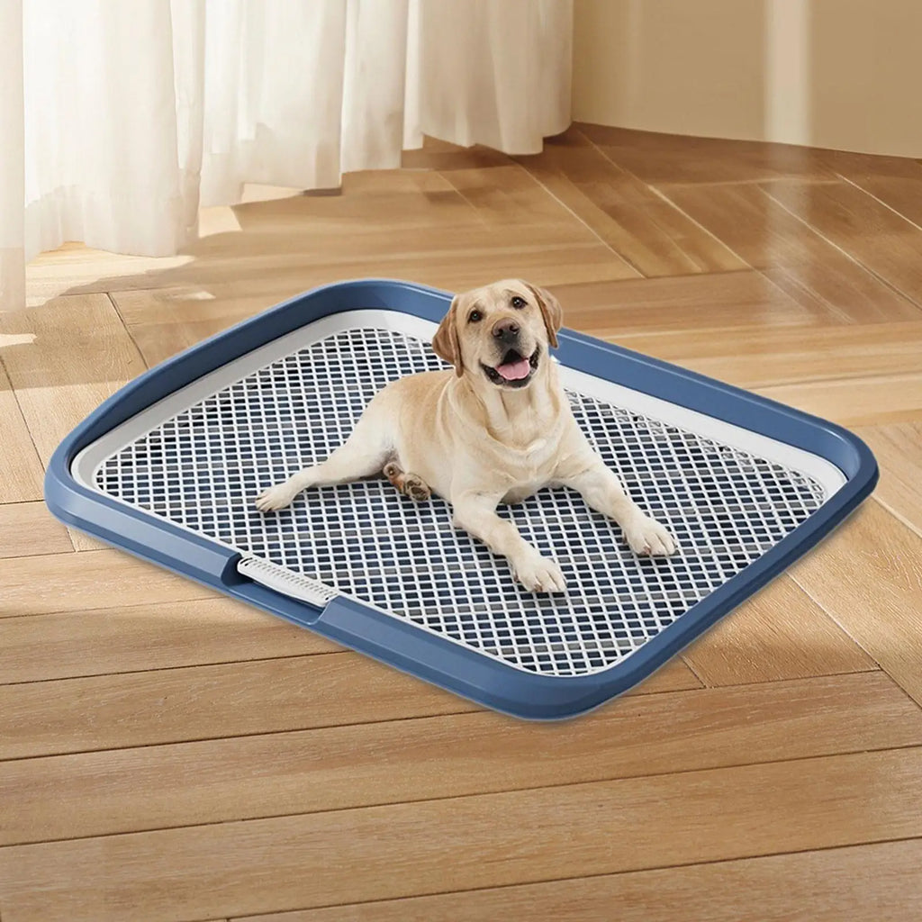 Dog Potty Training Tray Anti-Slip with Column | Puppy Pad Holder
