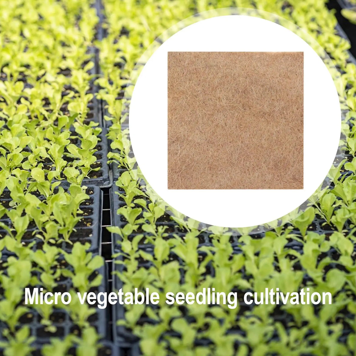 Jute Grow Mat for Microgreens – Hydroponic Seedling Pads 5-Pack