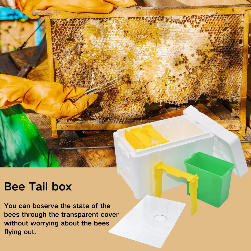 Queen Bee Breeding Box with Mating Chamber – Foam Nuc Hive