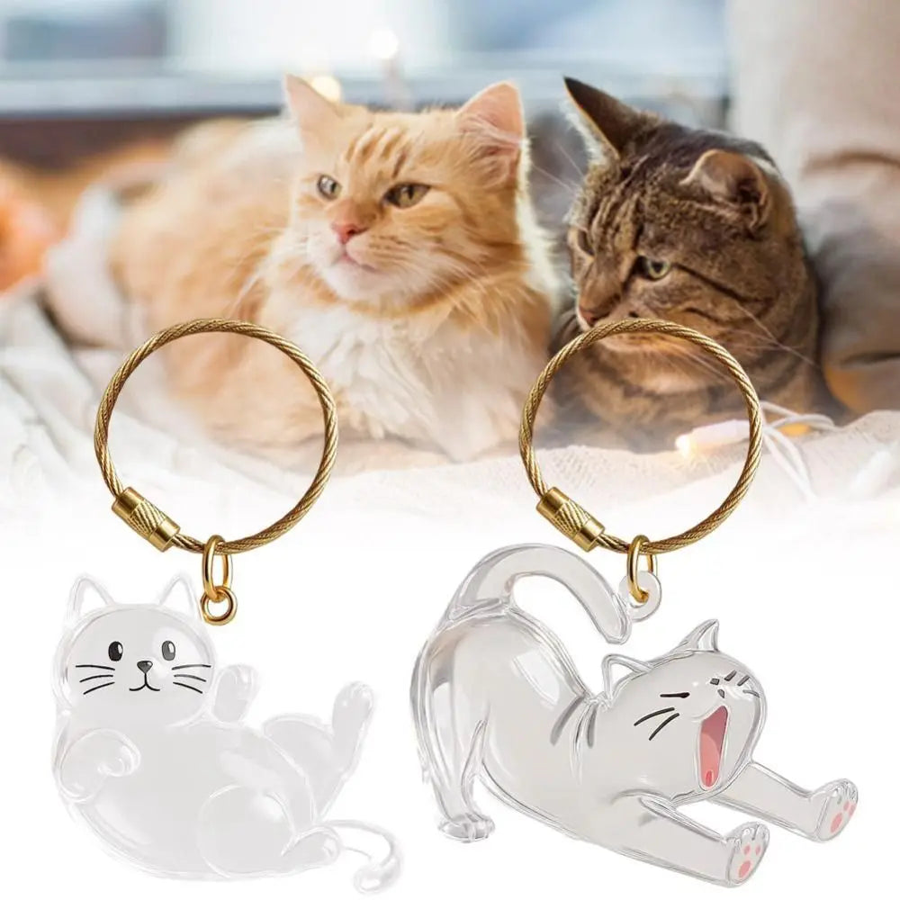 Transparent Cat Hair Storage Keychain – DIY Pet Keepsake