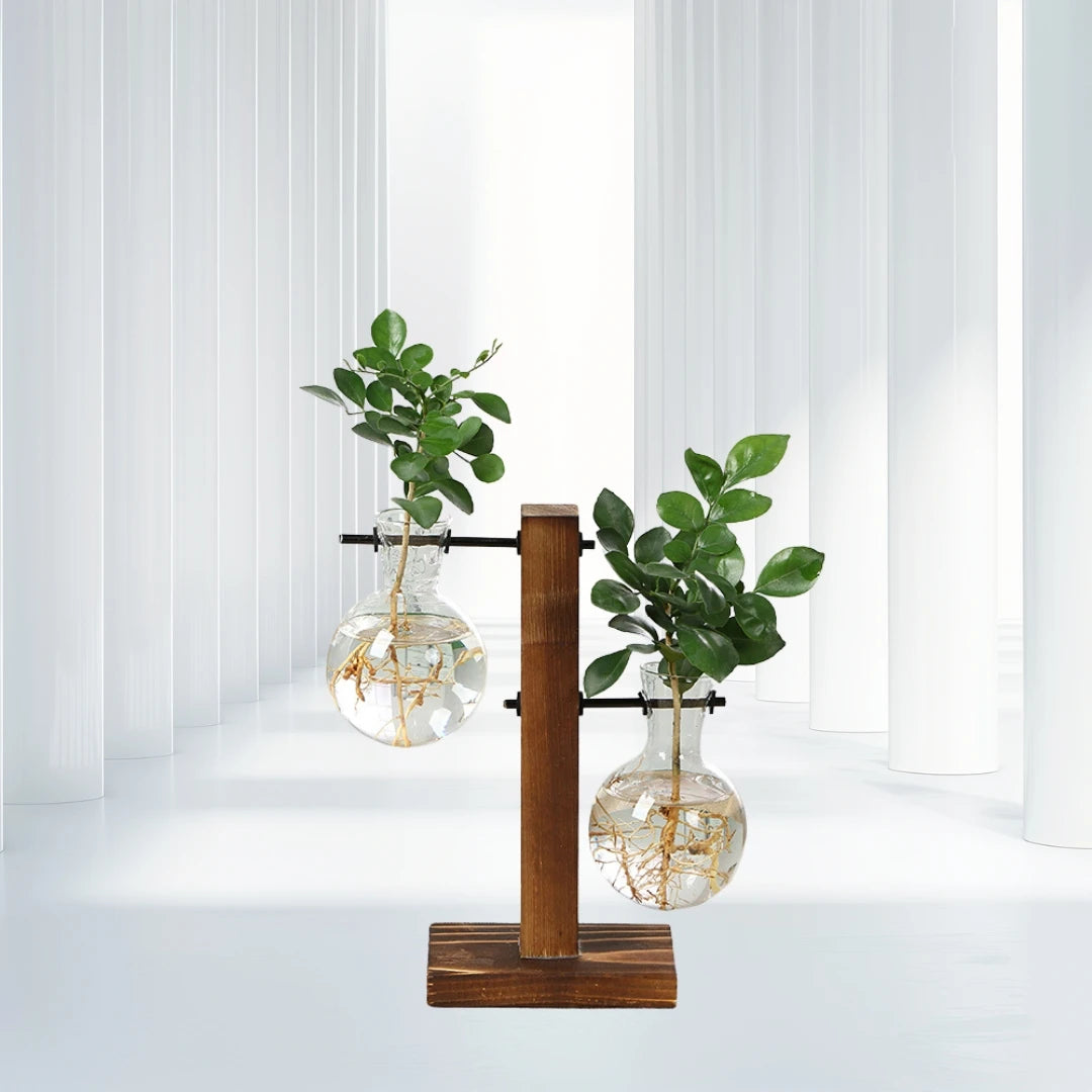 Wooden Frame Hydroponic Glass Vase | Desktop Flower Planter