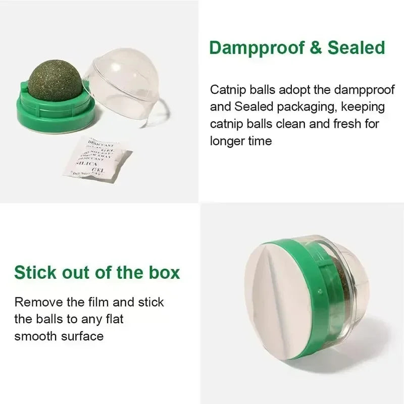 Catnip Wall Sticky Ball Toy – Natural Cat Grass Grooming Snack