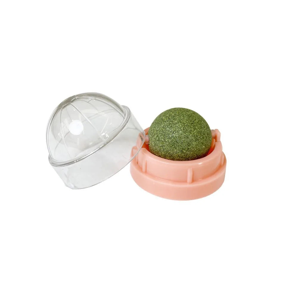 Catnip Wall Sticky Ball Toy – Natural Cat Grass Grooming Snack