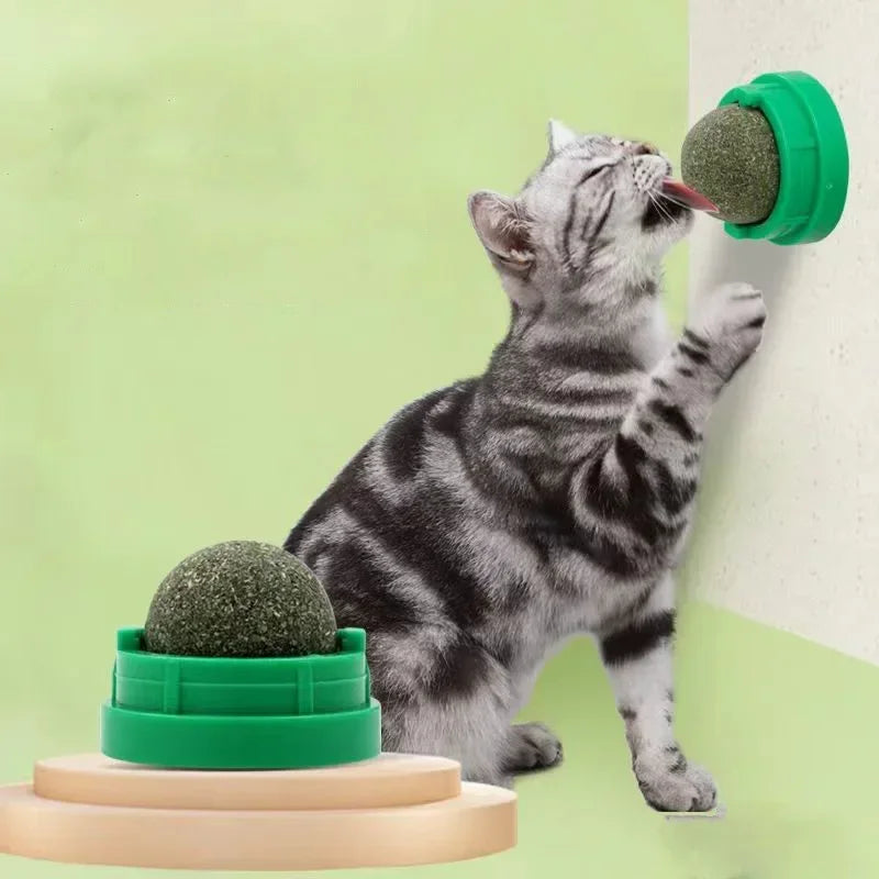 Catnip Wall Sticky Ball Toy – Natural Cat Grass Grooming Snack