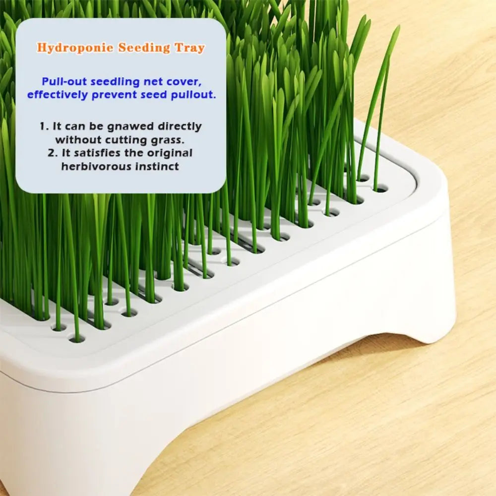 Hydroponic Cat Grass Seeding Tray – Reusable 3-Layer Planter