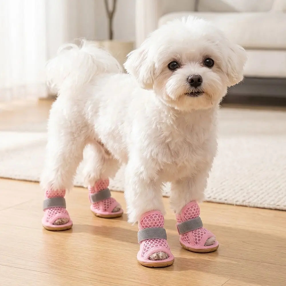 4-Pack Mesh Dog Shoes – Breathable Non-Slip Summer Boots