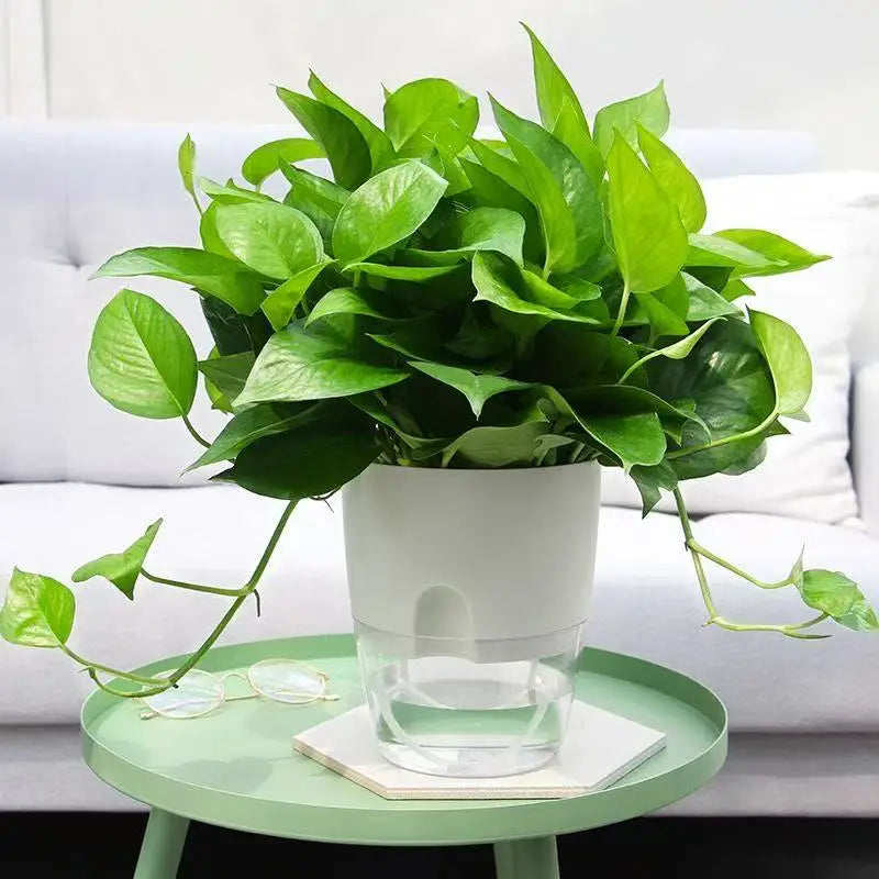 Self-Watering Plant Pot with Drainage – Double-Layer Wicking