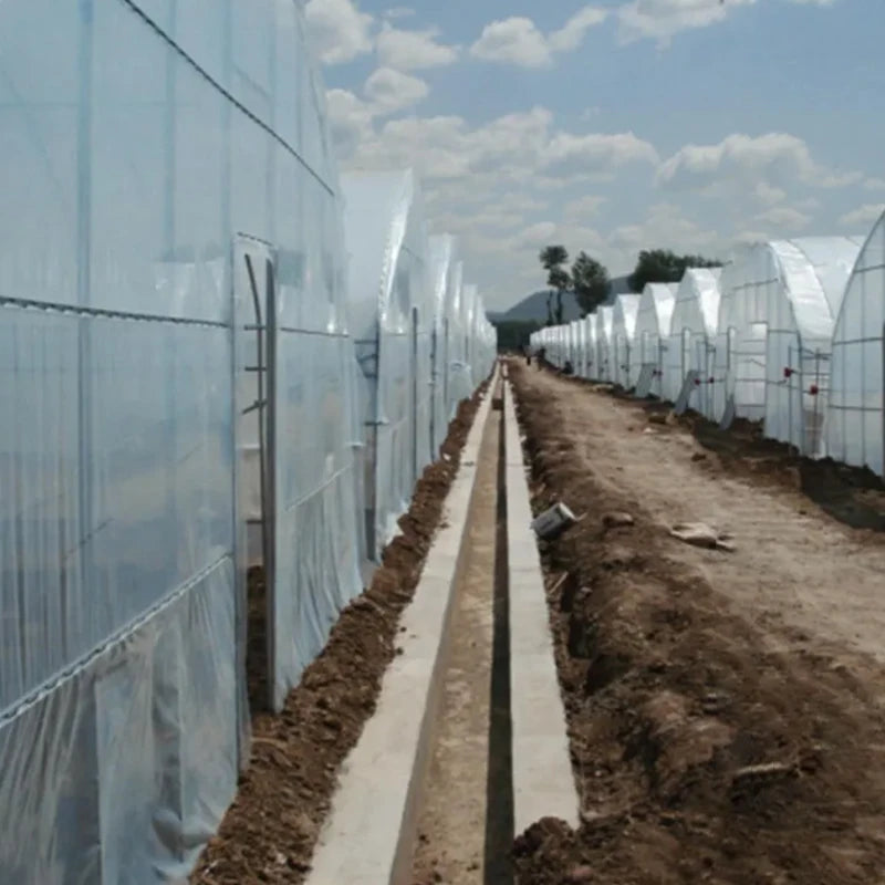 0.14mm Agricultural PE Greenhouse Film | 2m–12m Wide