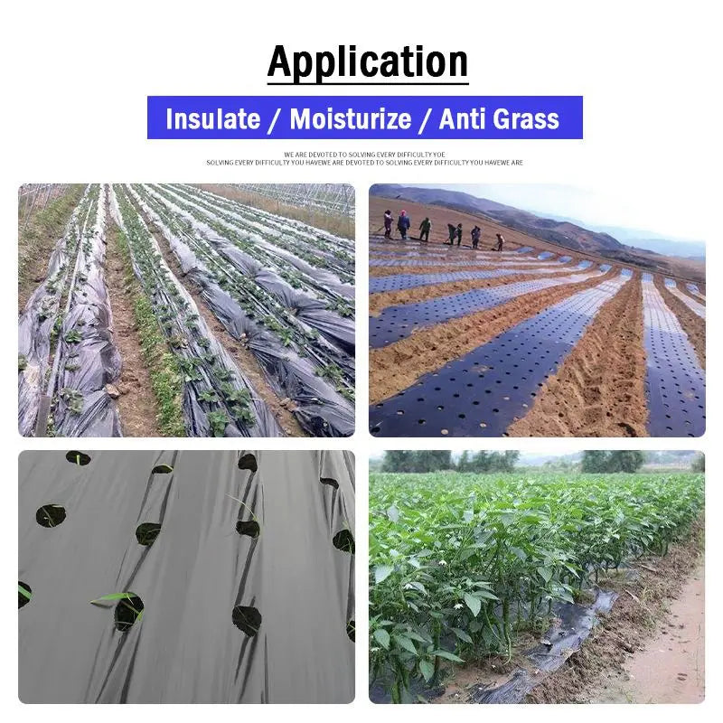 Perforated Black Mulch Film – Weed Control Agriculture Film