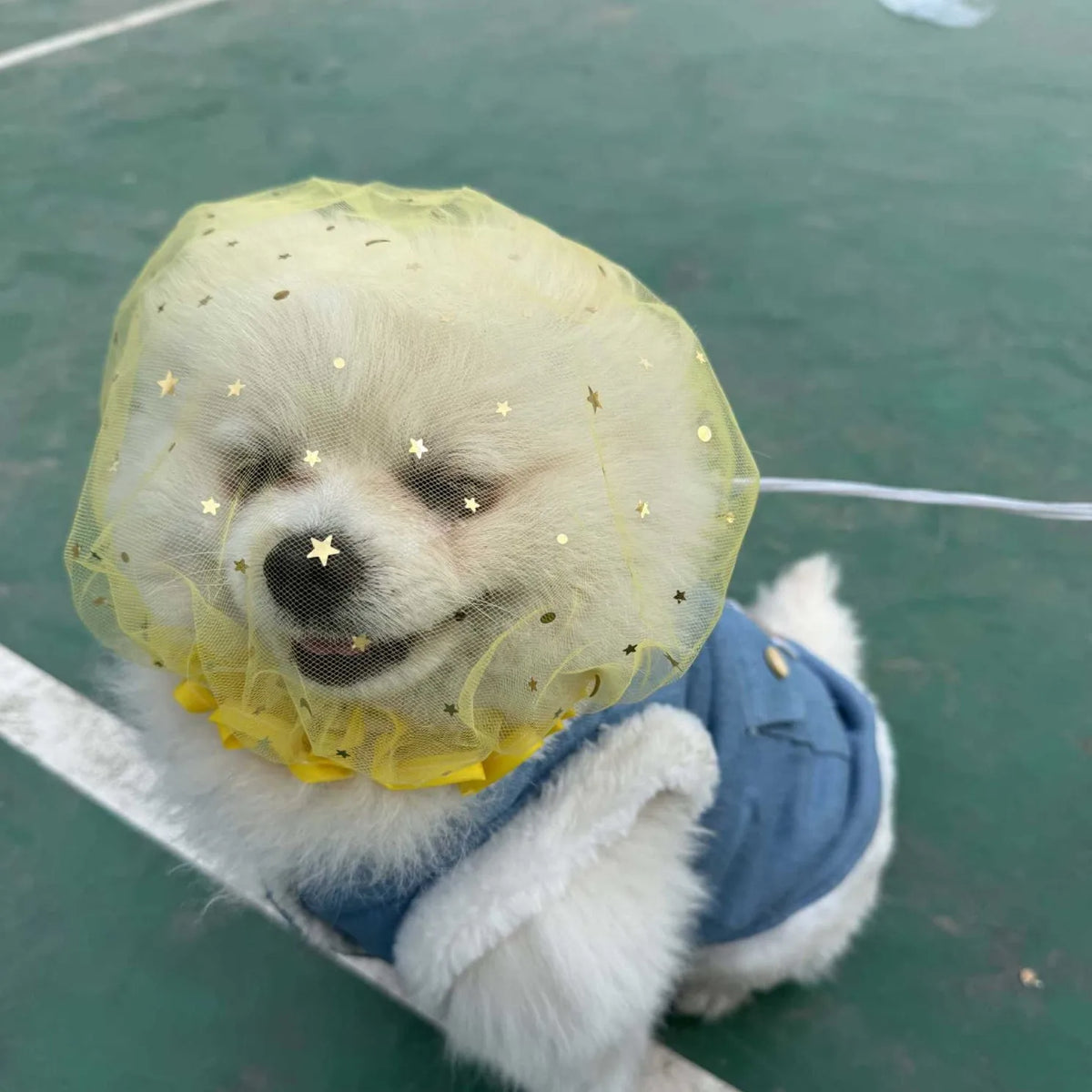 Breathable Mesh Dog Muzzle for Small & Medium Dogs