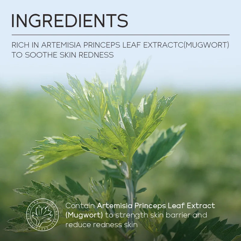 LAIKOU Mugwort Pore Clarifying Mud Mask 5-Pack | Oil Control