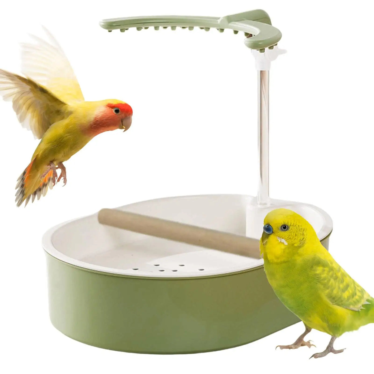 Automatic Bird Bath Shower for Parakeet Cockatiel Lovebird