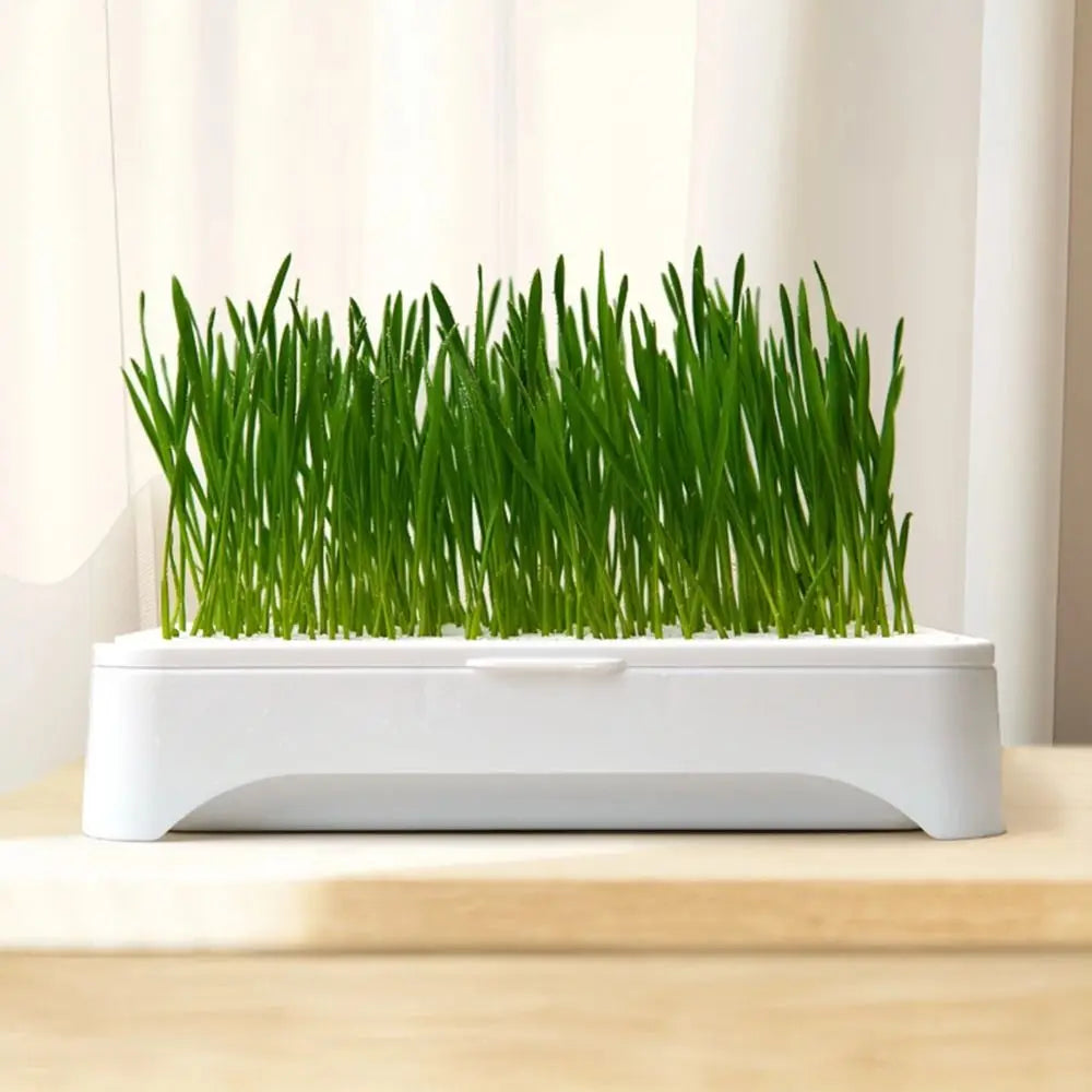 Hydroponic Cat Grass Seeding Tray – Reusable 3-Layer Planter