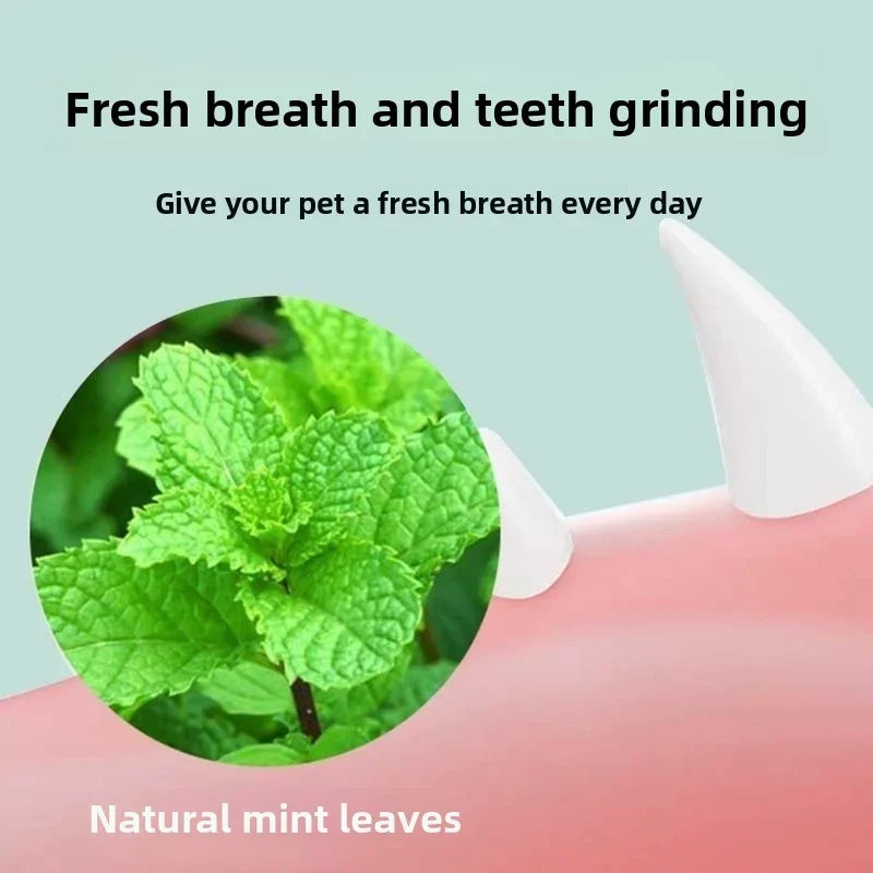 Catnip Ball Toy – Bite-Resistant Kitten Teeth Grinder & Play