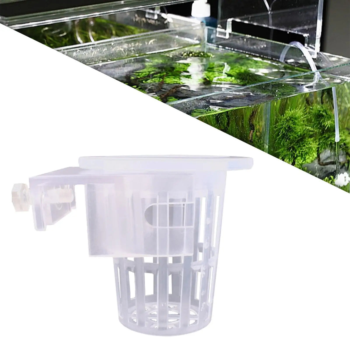 2-Pack Clear Hanging Aquarium Plant Holder | Aquascaping Pot