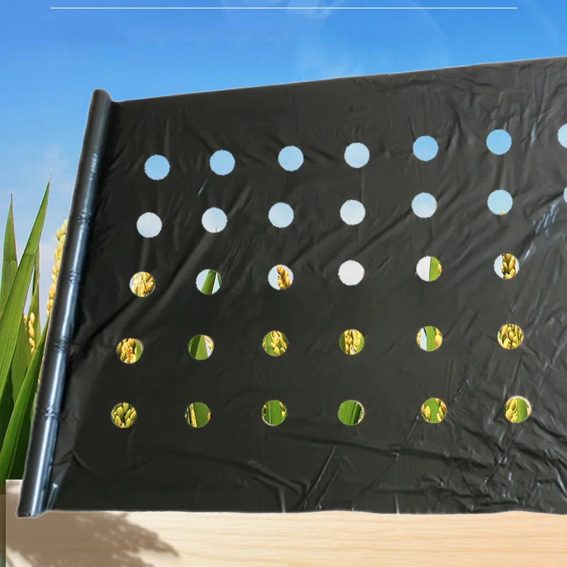 Perforated Black Mulch Film – Weed Control Agriculture Film