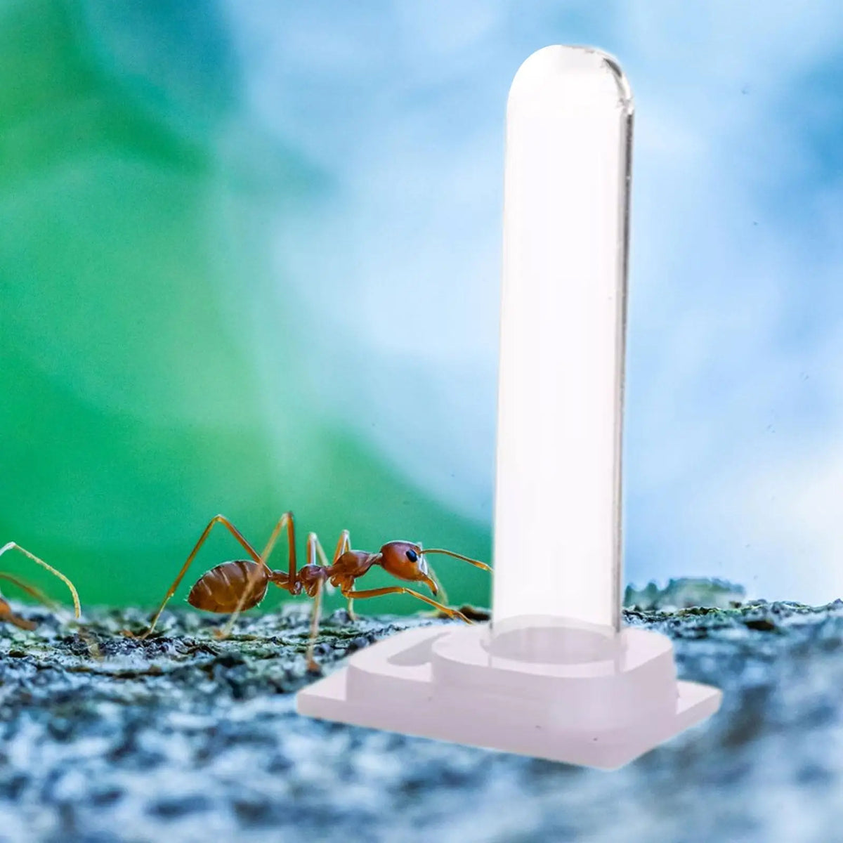 Vertical Acrylic Pet Water Dispenser – Terrarium Feeder Kit