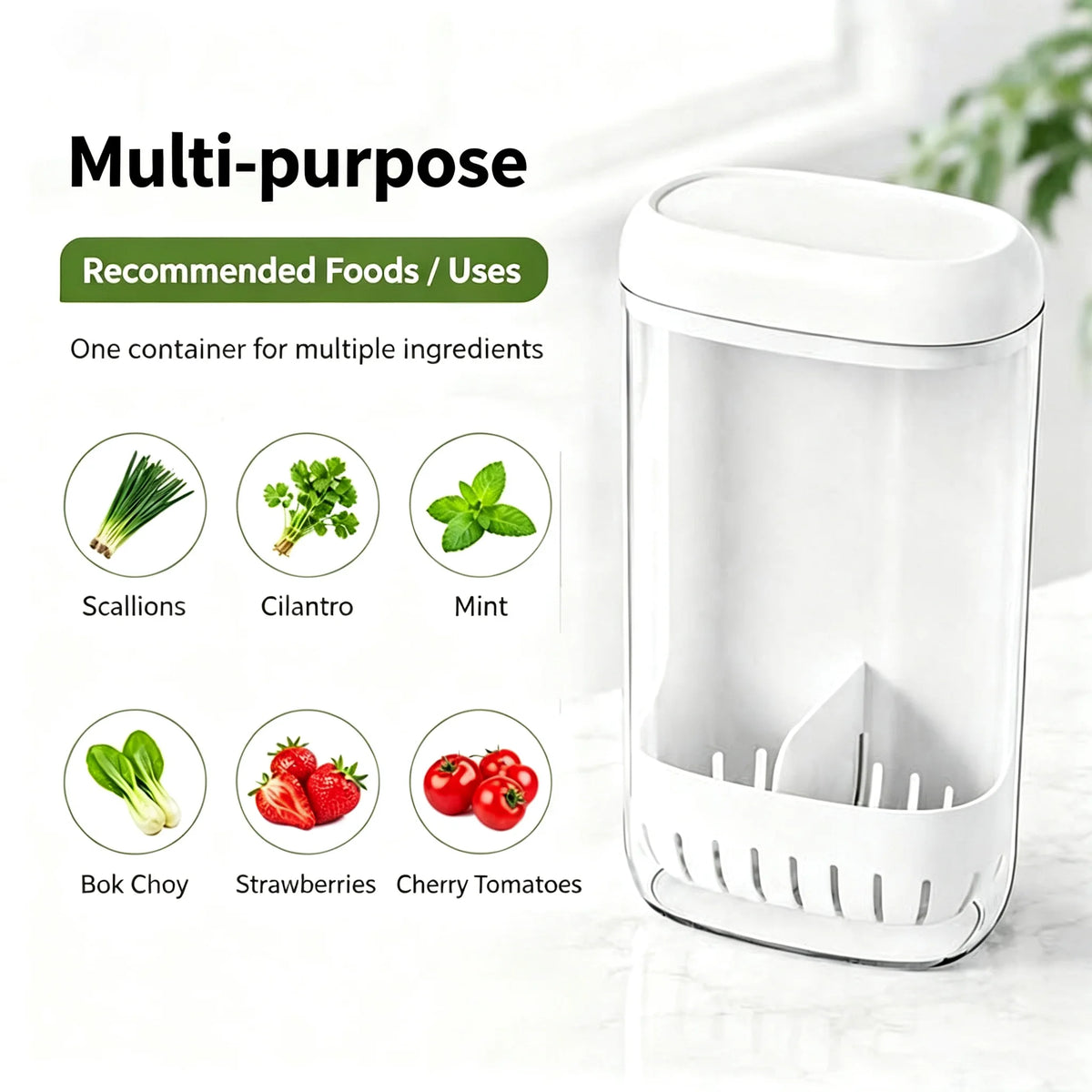 Herb & Vegetable Hydroponic Fresh-Keeping Storage Container
