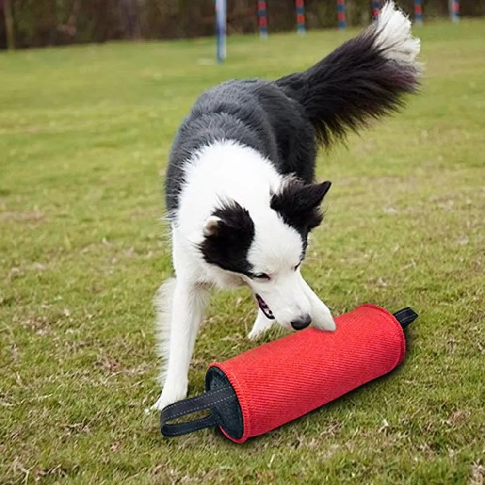 Reinforced Dog Bite Tug Toy | Durable Bar Shape, Multi-Color