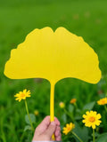 Ginkgo Leaf & Seashell Hand Fan – Ancient Style Portable Fan