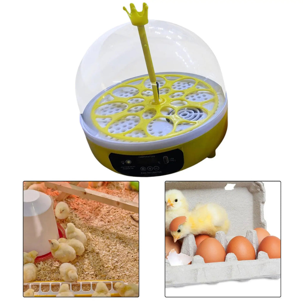 8-Egg Automatic Incubator – Chicken, Quail & Duck Hatcher