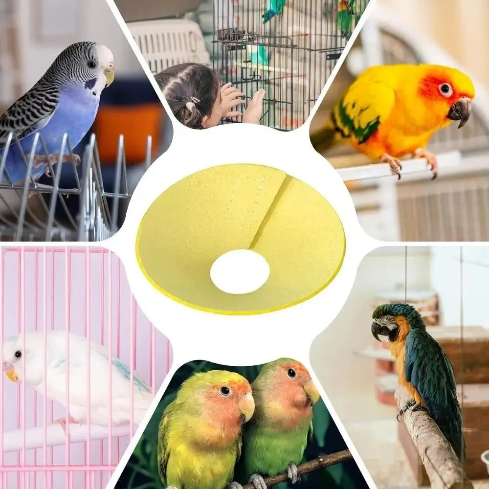 Bird Elizabethan Collar – Soft Breathable EVA Protective Cone