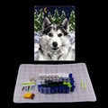 DIY Latch Hook Kit – Printed Canvas Rug, Pillow & Tapestry Set