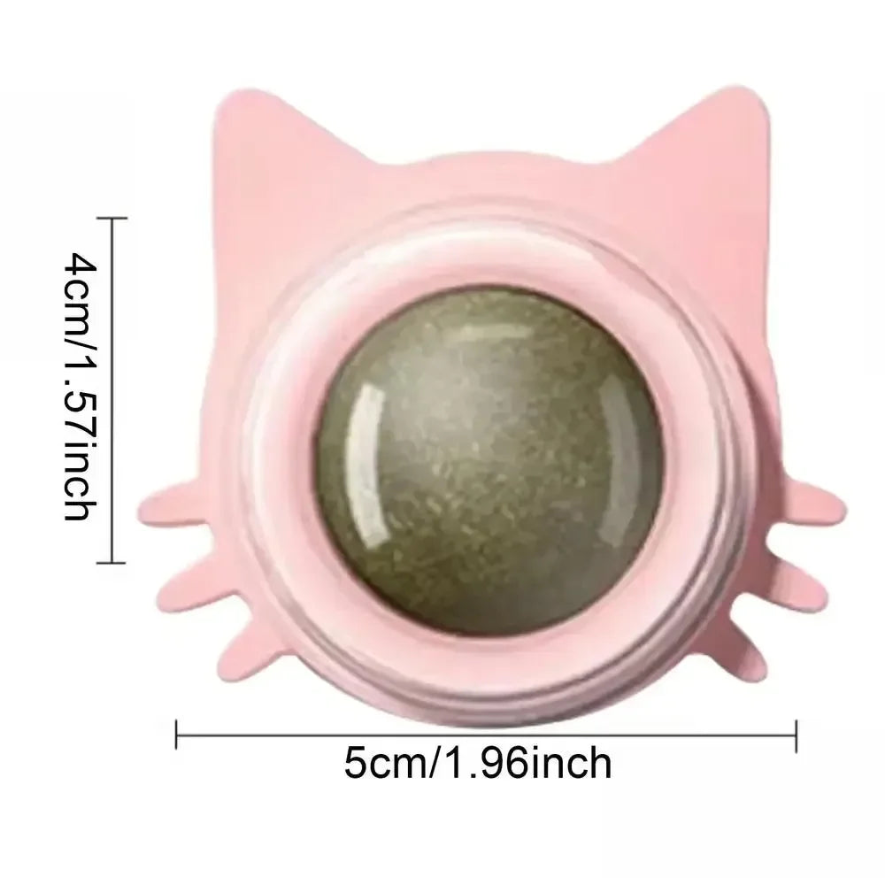 Catnip Ball Toy – Bite-Resistant Kitten Teeth Grinder & Play