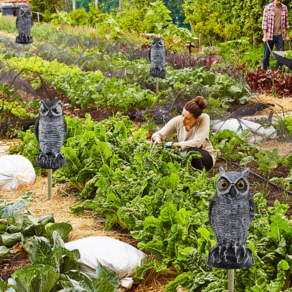 Realistic Owl Decoy Statue – Outdoor Garden Bird Deterrent
