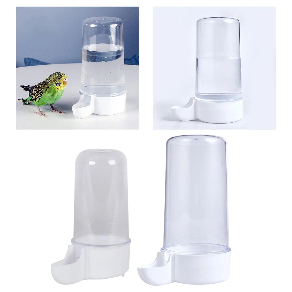 Automatic Bird Water Feeder – Large Capacity Cage Drinker
