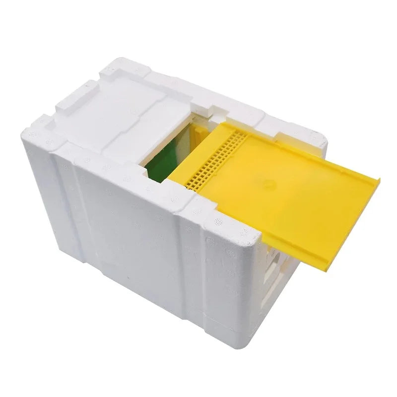 Queen Bee Breeding Box with Mating Chamber – Foam Nuc Hive
