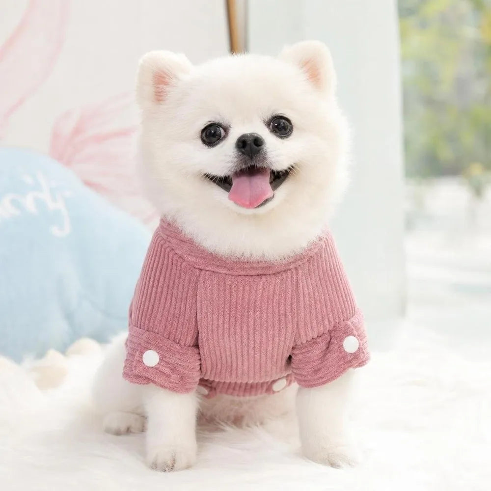 Windproof Winter Dog Jacket – Warm Vest Coat for Small Dogs