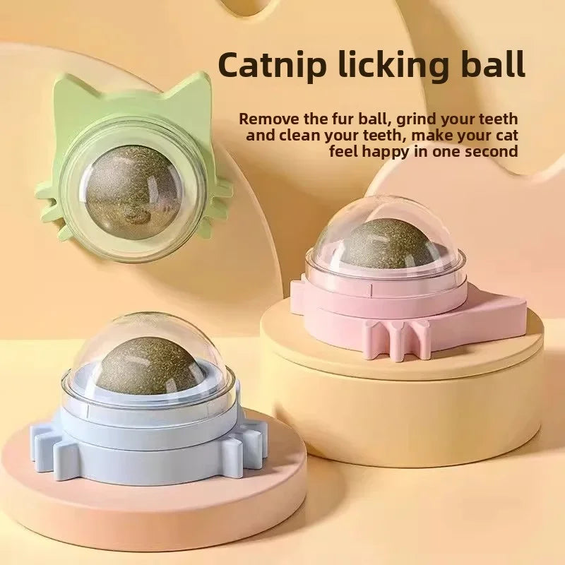 Catnip Ball Toy – Bite-Resistant Kitten Teeth Grinder & Play