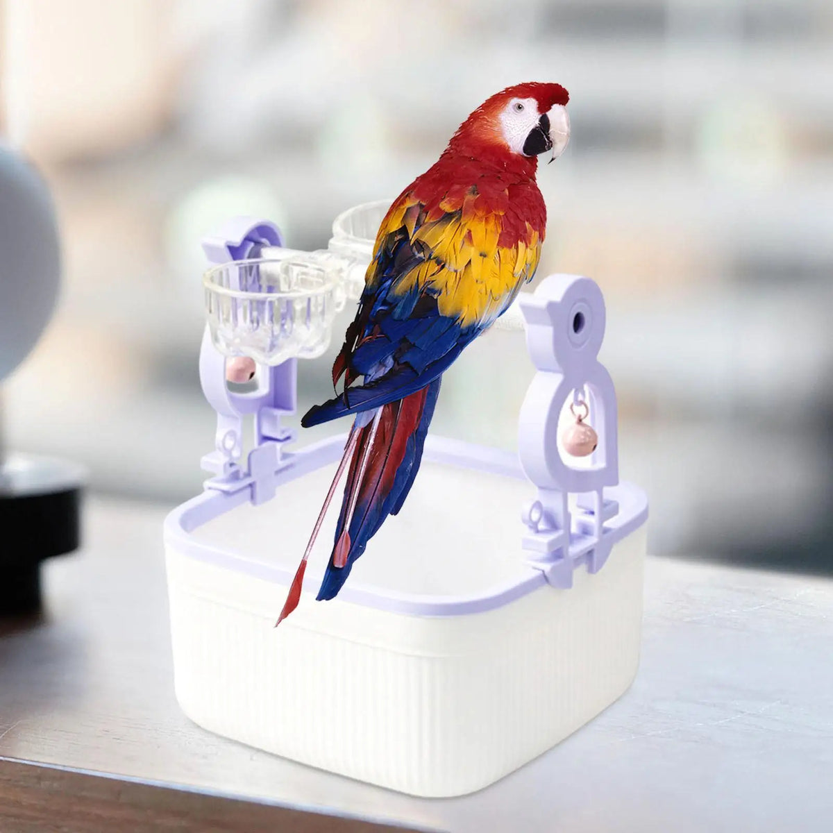 Desktop Bird Perch Stand with Feeder Cups | Parrot Toy