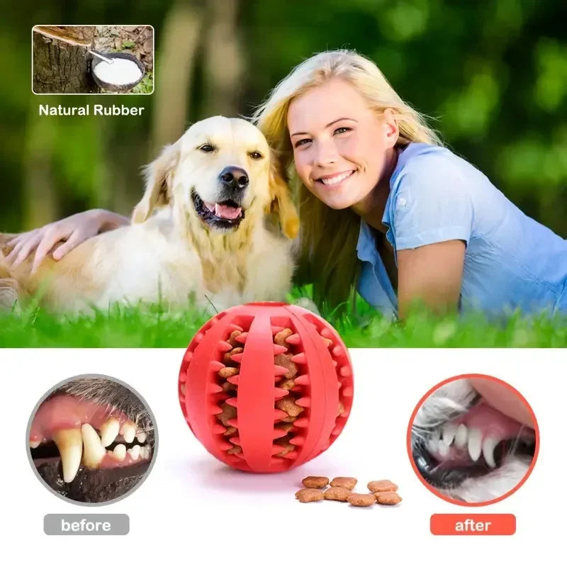 Non-Toxic Bite-Resistant Dog Chew Ball – Interactive Feeding Toy
