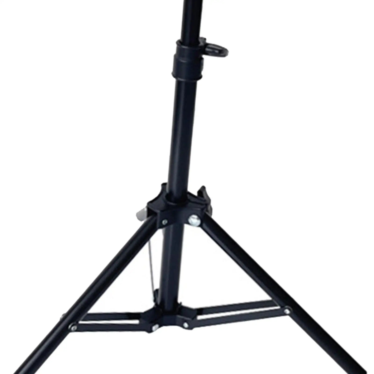Wood Parrot Perch Stand | Height-Adjustable Tripod Bird Perch