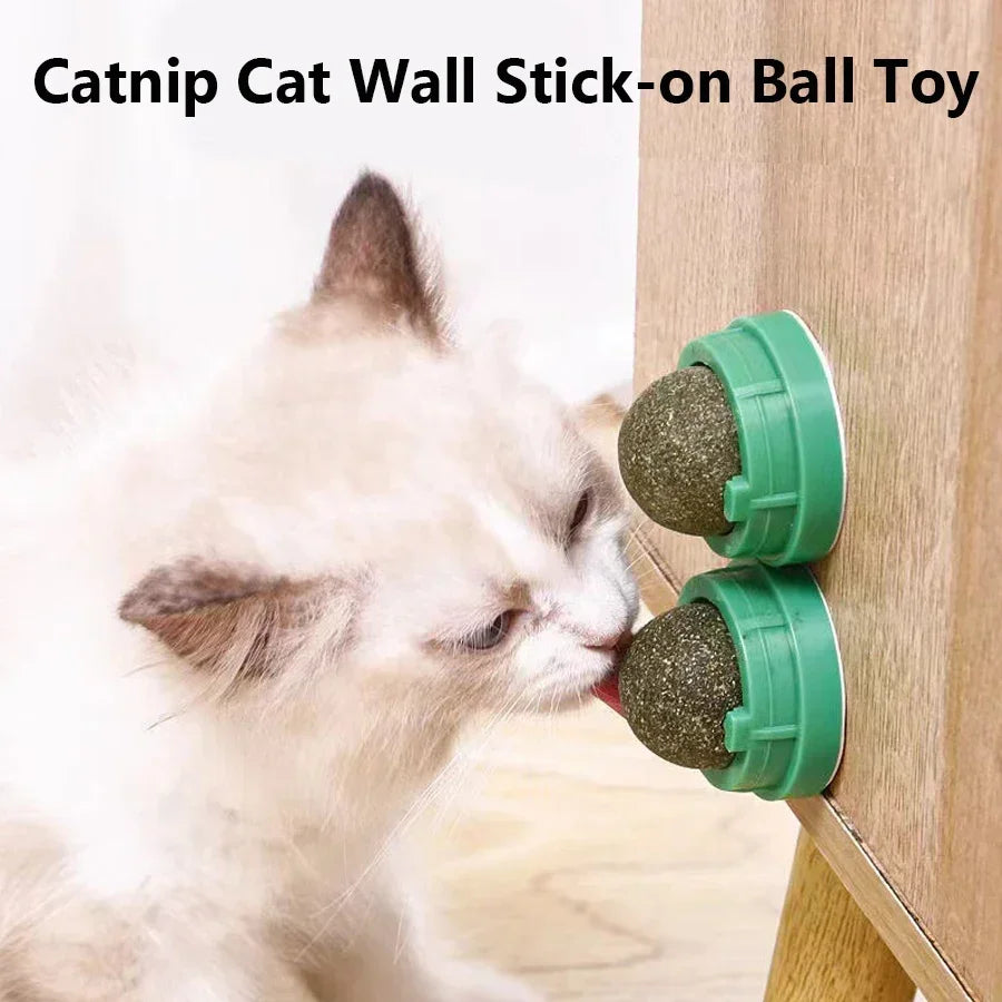 Catnip Wall Sticky Ball Toy – Natural Cat Grass Grooming Snack