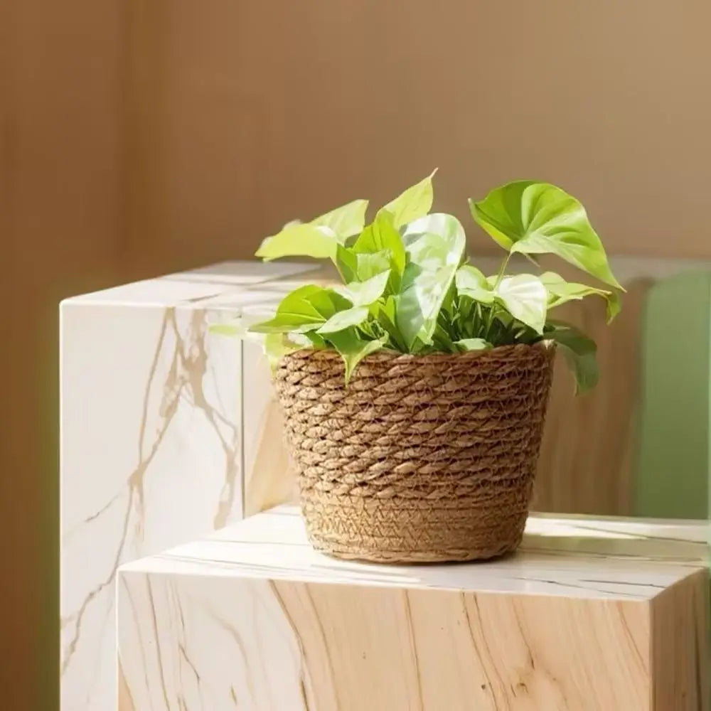 Handwoven Straw Flower Pot Basket Planter – 4 Sizes