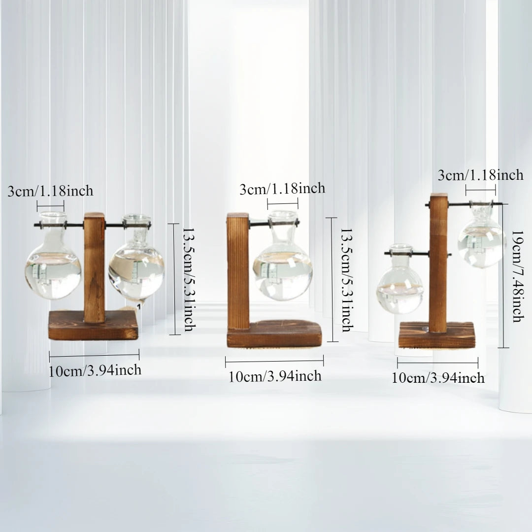 Wooden Frame Hydroponic Glass Vase | Desktop Flower Planter
