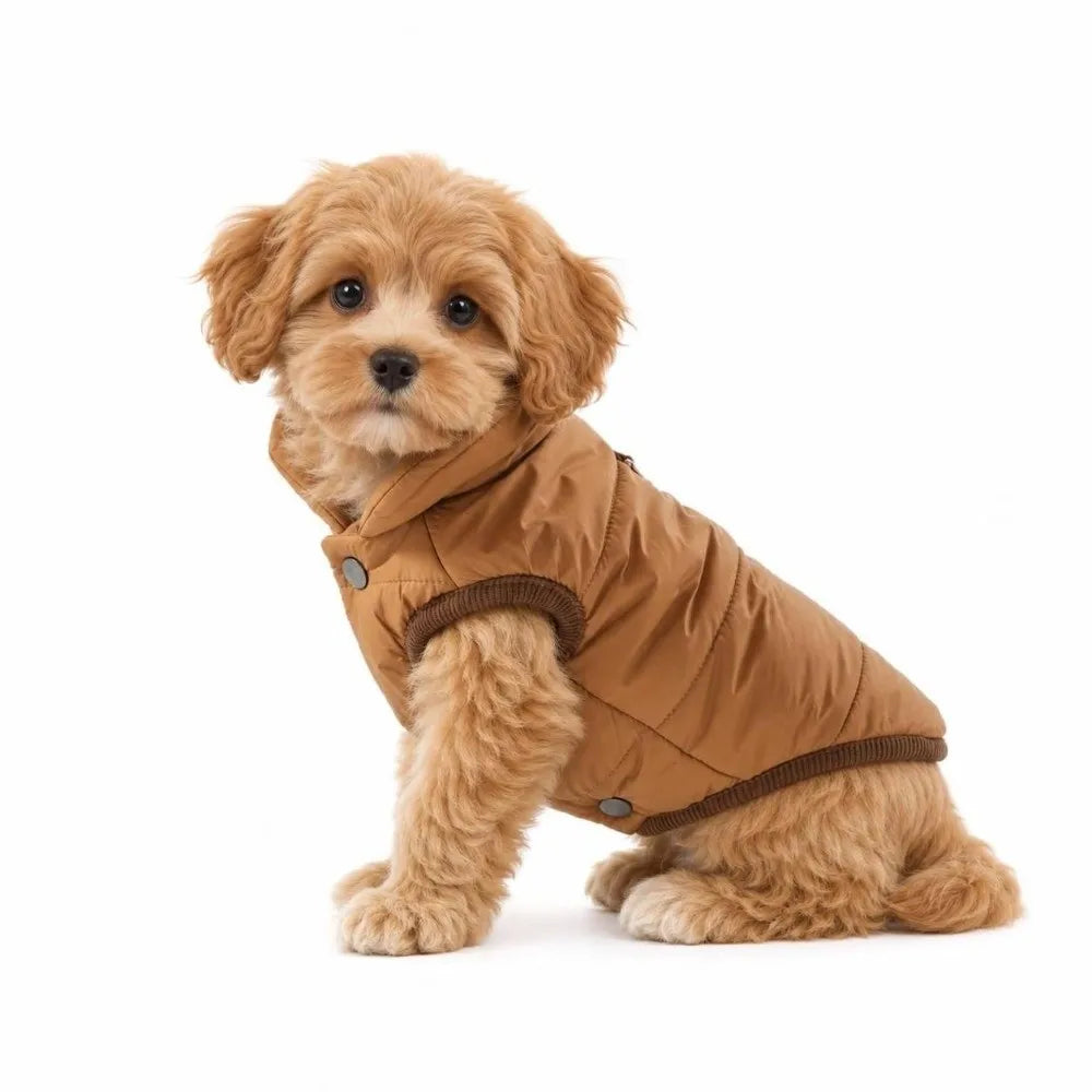 Windproof Fleece Dog Jacket with D-Ring | Small & Medium Dogs