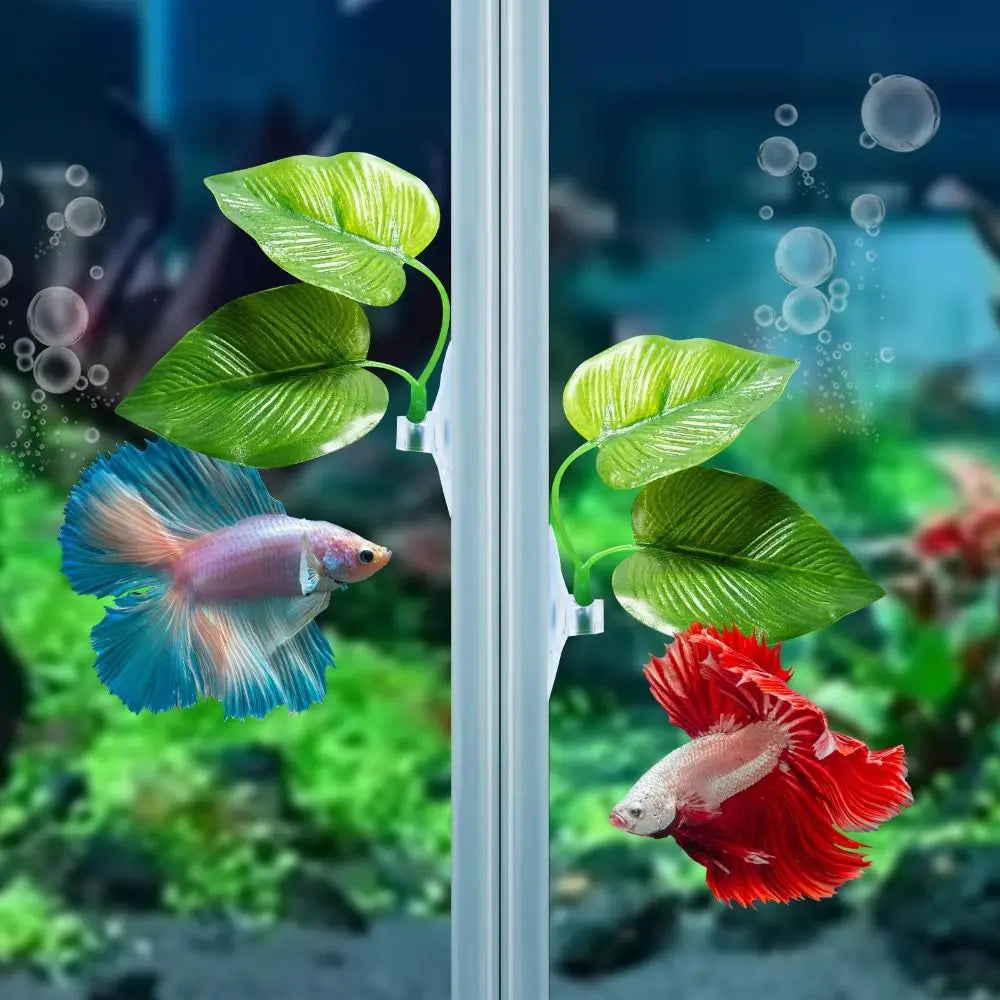 Betta Fish Leaf Pad Hammock with Suction Cup – Lotus Leaf Decor