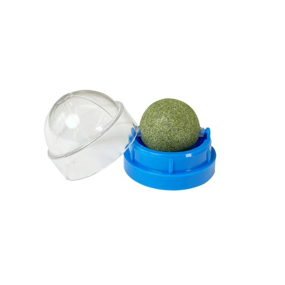 Catnip Wall Sticky Ball Toy – Natural Cat Grass Grooming Snack