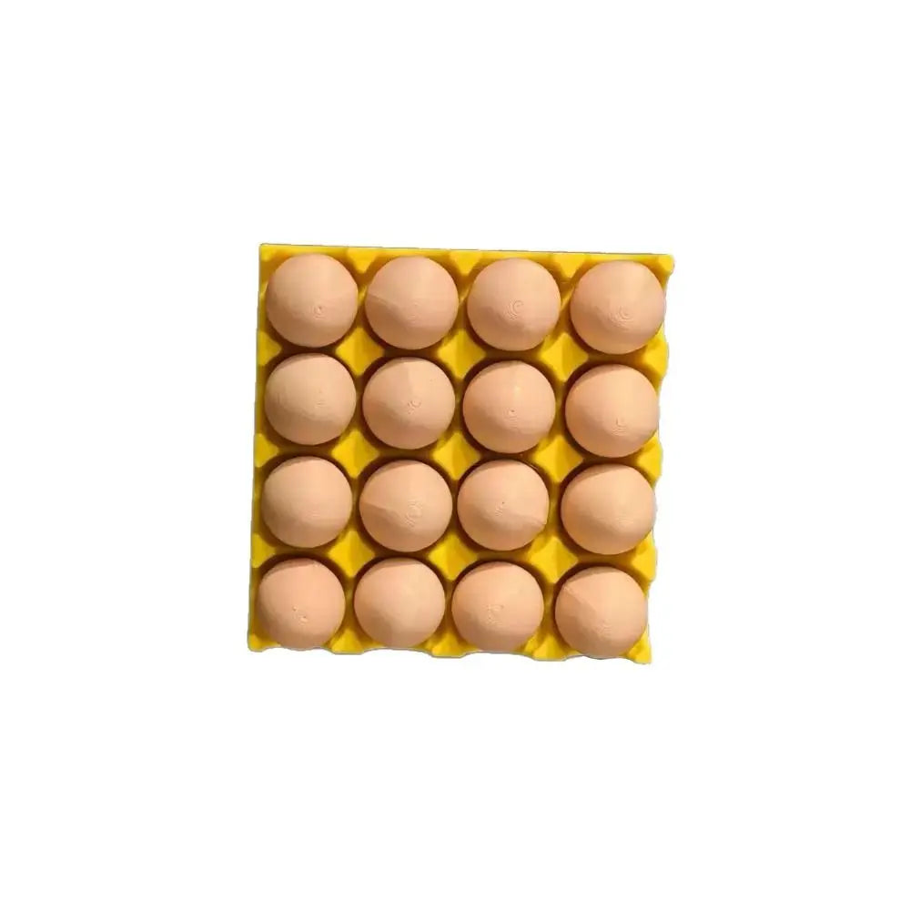 Magnetic Egg Tray Fridge Magnet – Cute Photo & Note Holder