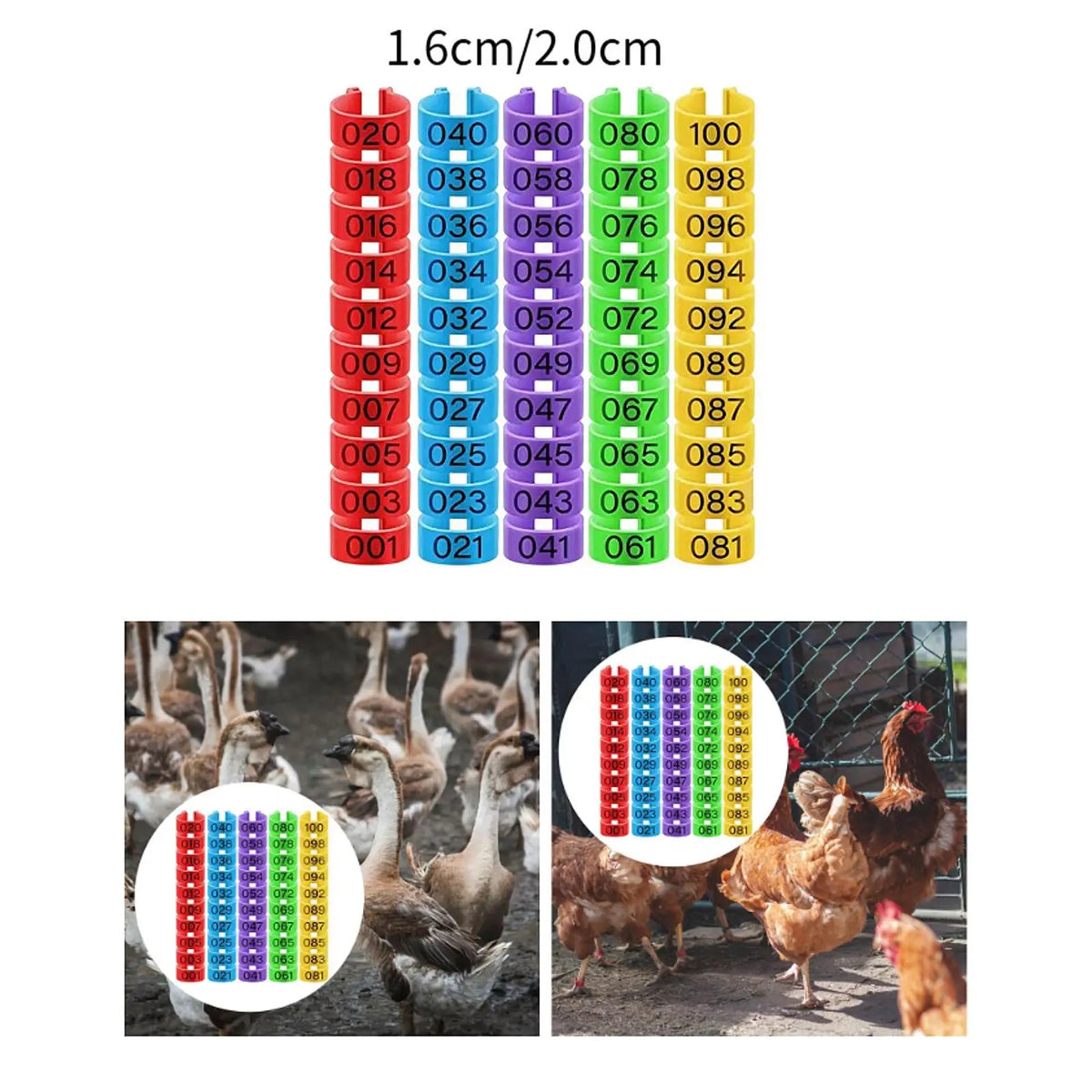 100-Pack Numbered Poultry Leg Bands – Clip-On Foot Rings