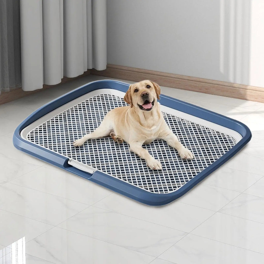 Dog Potty Training Tray Anti-Slip with Column | Puppy Pad Holder